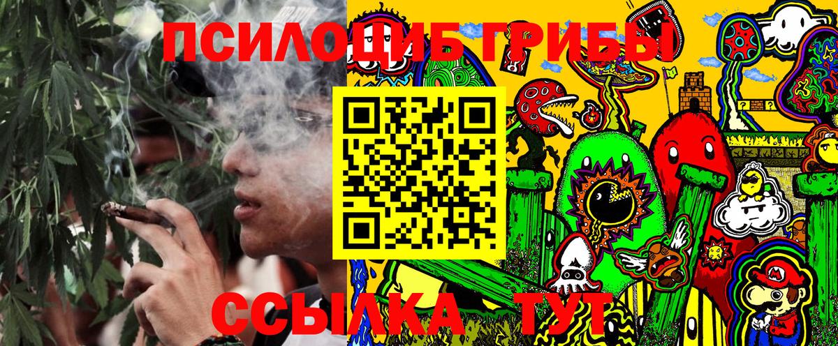 Псилоцибиновые грибы Psilocybine cubensis Прохладный